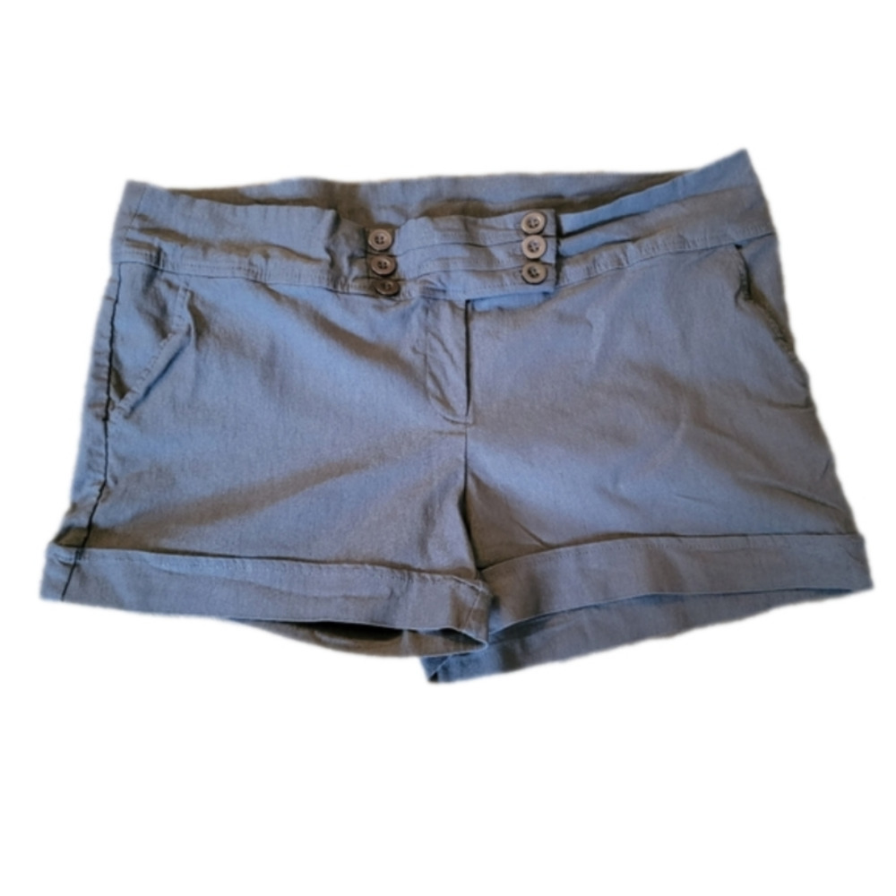 Color Swatch Shorts Size 3X